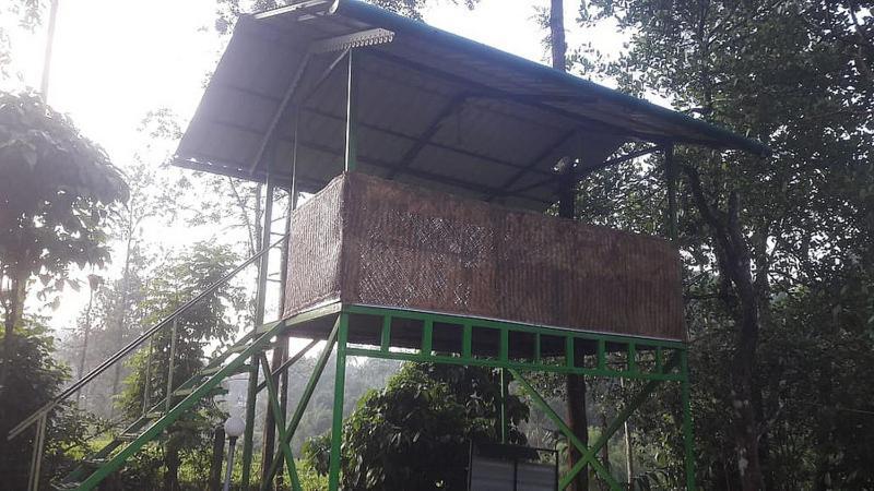 Letstay Vythiri Hill Palace Exterior foto